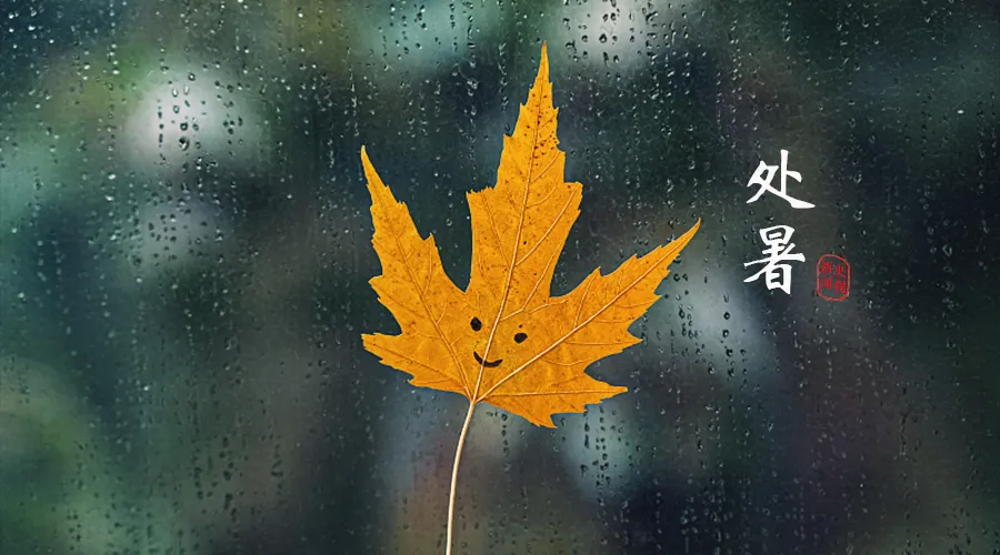 今日處暑，暑去涼來