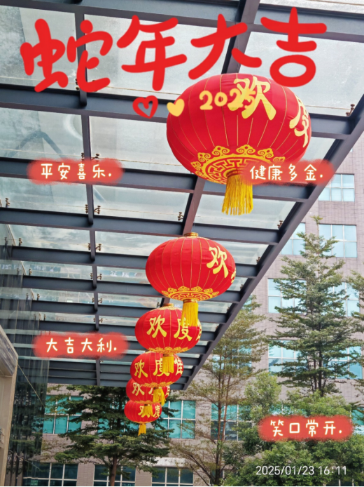 靈蛇舞動(dòng)迎新春，喜氣洋洋滿乾坤